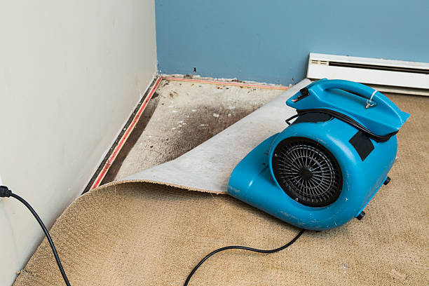 Best 24/7 water damage repair  in Elkhart Lake, WI
